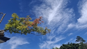 秋の気配